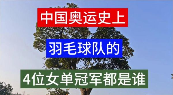 中国羽毛球队奥运会成绩，奥运会中国羽毛球队比赛结果
