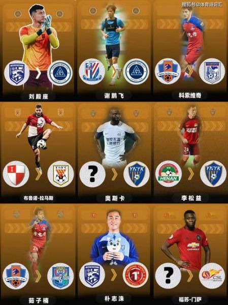 中超16队更名一览，中超16队更名一览图