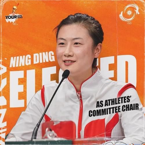 伦敦奥运会丁宁事件，伦敦奥运会丁宁事件是哪一年