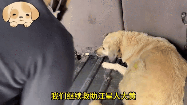 保罗乔治断腿图片gif，保罗·乔治断腿的恐怖一幕让詹姆斯看得反胃