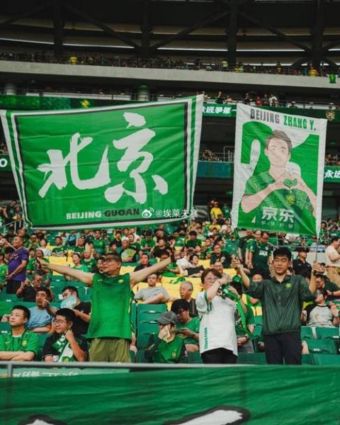 北京国安 国安是什么单位，北京国安是干啥的