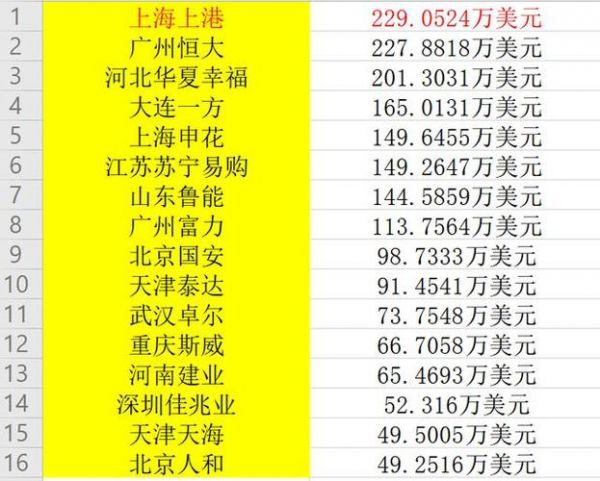 国内足球运动员年薪，我国足球运动员年薪