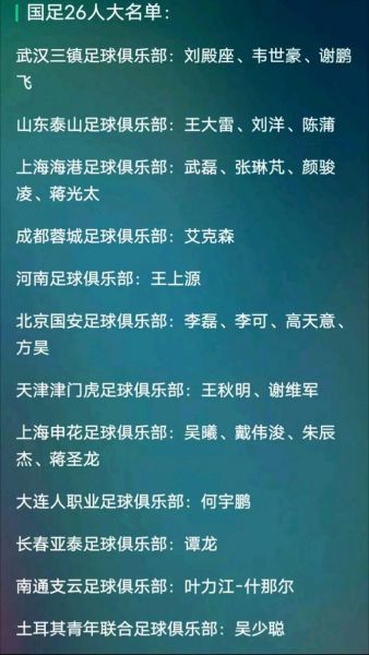 国足新一期集训名单，国足新一期集训名单出炉