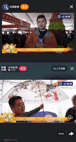央视电视直播网络在线观看，央视cctv在线直播观看
