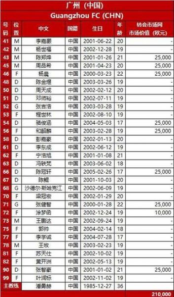 恒大亚冠名单，恒大亚冠名单出炉