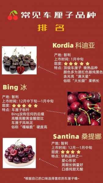 智利是属于哪个国家，智利车厘子