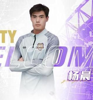 杨晨羽毛球，杨晨羽毛球个人简历