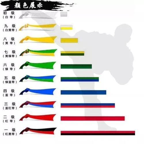 柔道段位，柔道段位怎么分