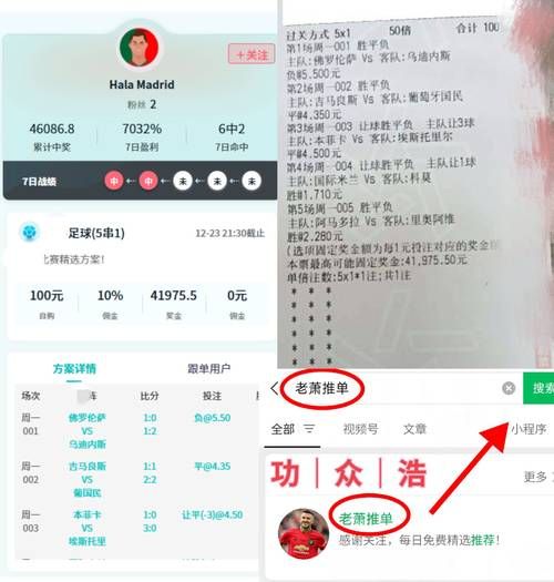 澳足总足球直播，澳a足球直播