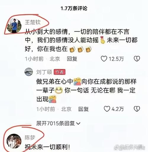 王楚钦刘丁硕，王楚钦刘丁硕聊天记录