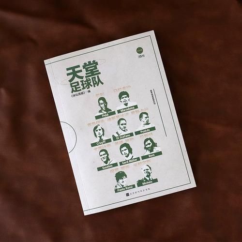 球王马拉多纳上帝之手，马拉多纳上帝之手碰到球了吗