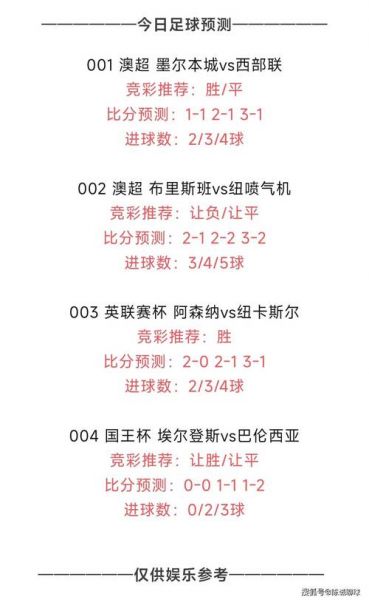竞彩足球专家预测，竞彩足球专家预测汇总