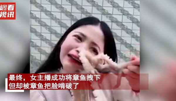 章鱼直播官网，章鱼直播网页