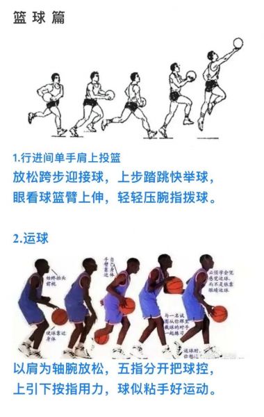 篮球的基本动作24式，篮球基本动作训练视频