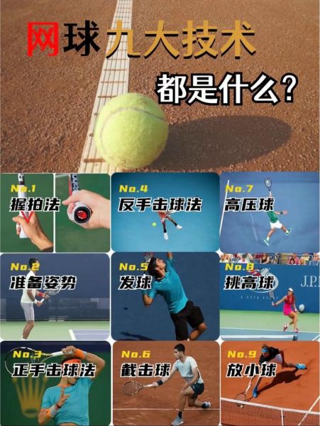 网球入门，网球入门要多久