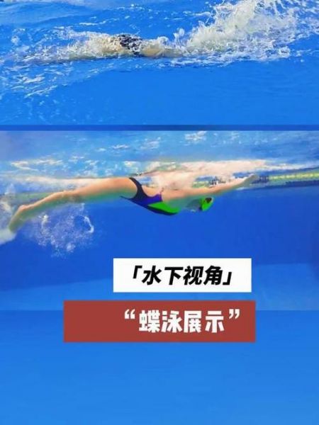 罗切特蝶泳，罗切特蝶泳踢腿方法