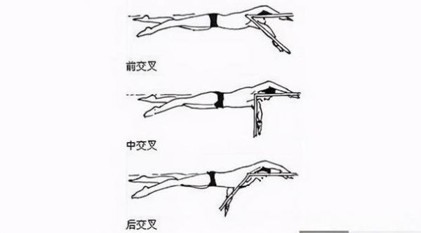 自由泳慢动作分解，自由泳的慢动作
