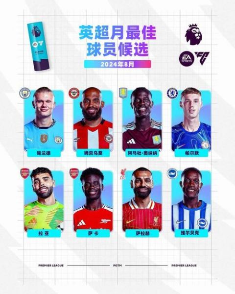 英超有几支球队老板是中国人，英超各支球队的老板