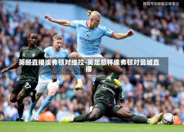 英超视频直播平台，英超视频直播平台哪个好