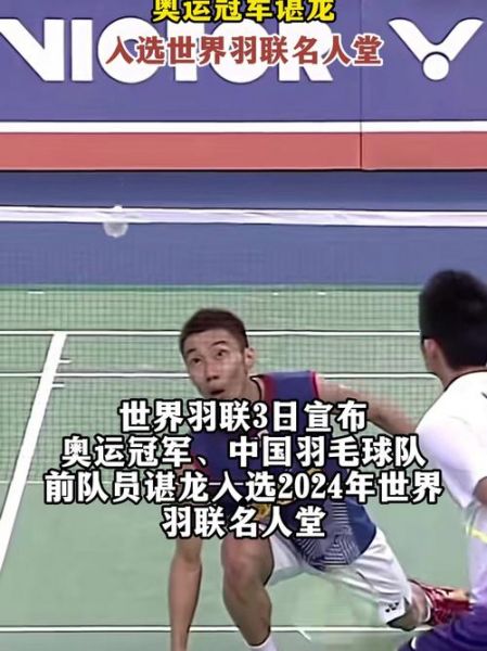 谌龙世锦赛，谌龙世锦赛冠军