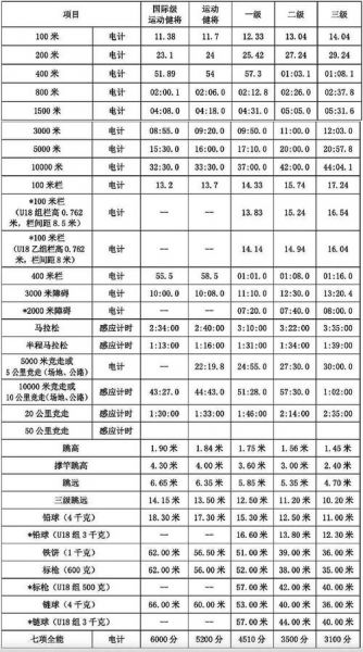 运动员等级查询系统，运动员等级划分表一览