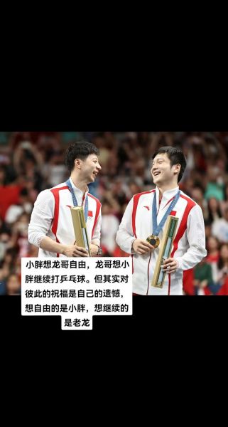 马龙厉害还是樊振东厉害，马龙厉害还是樊振东厉害啊