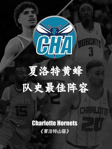 黄蜂队球员名单2020，黄蜂队球员名单阵容